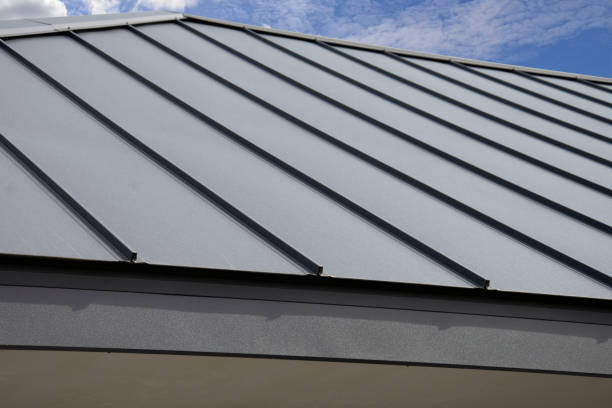 Best Roof Moss and Algae Removal  in Margate, FL