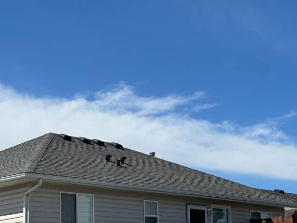 Best Rubber Roofing (EPDM, TPO)  in Margate, FL